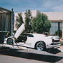 Enclosed Transport Photo - Lamborghini