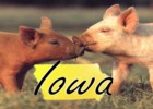 Iowa