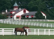 Lexington Scenery