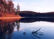 Walden Pond Reservation