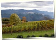 Eugene Willamette Valley
