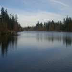 Tacoma Lake