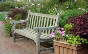 Park Bench