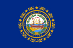 New Hampshire State Flag