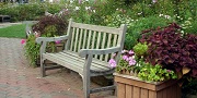 Albany Park Bench
