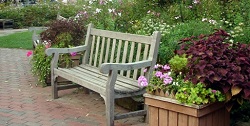 Dallas Park Bench