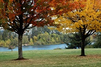 Burlington Scenery